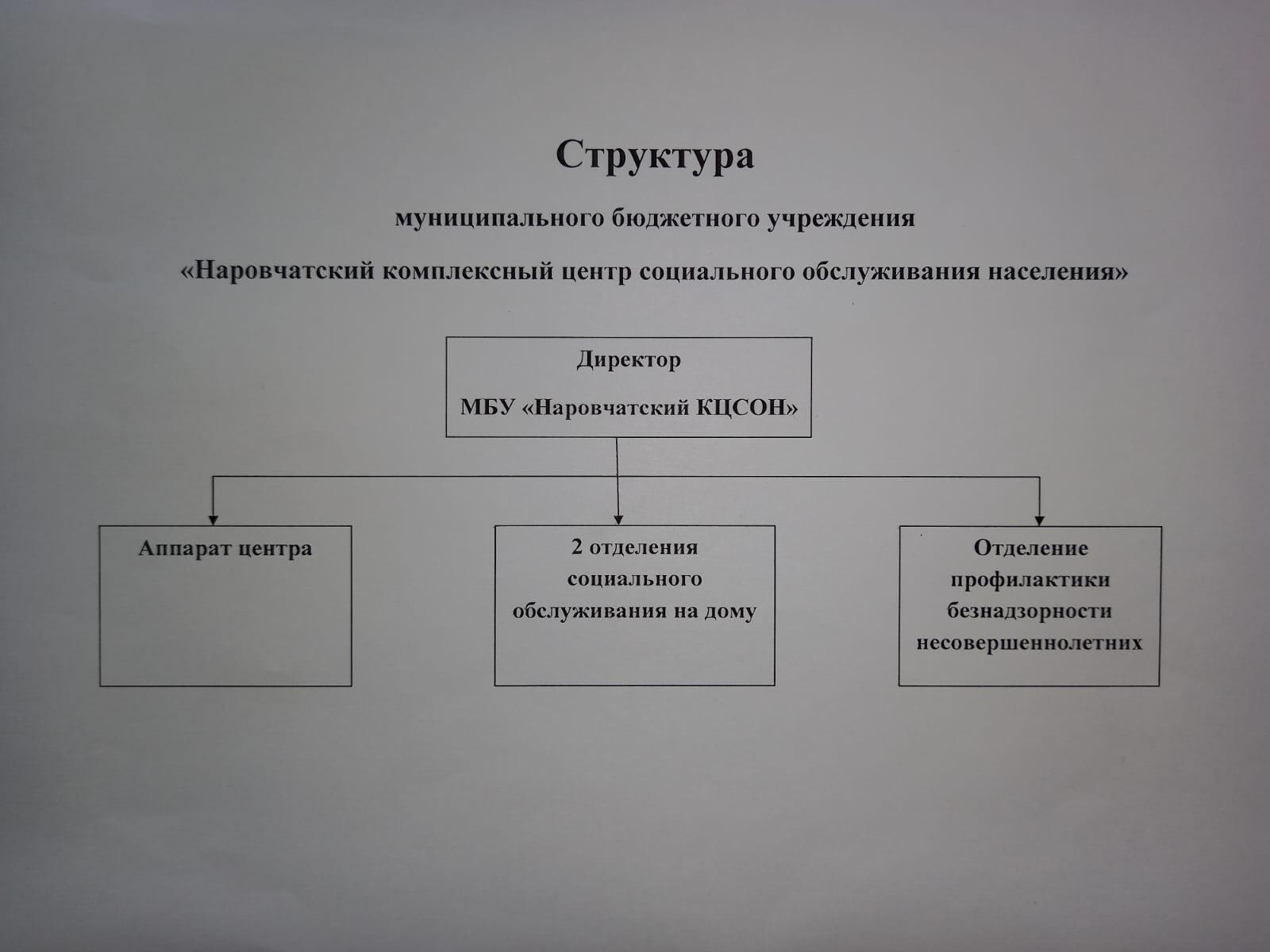Структура организации